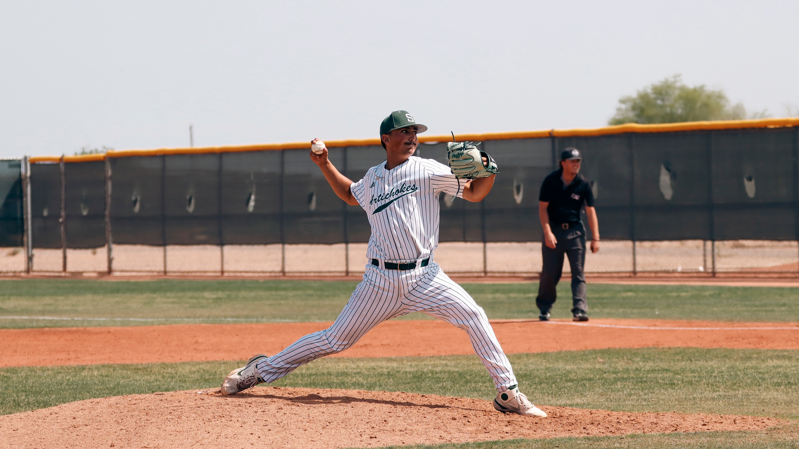 Coyotes Nip Artichokes